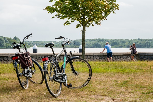 Two parked bikes stand in the grass near a tree, overlooking the water. In the background, people enjoy the view along the waterfront.