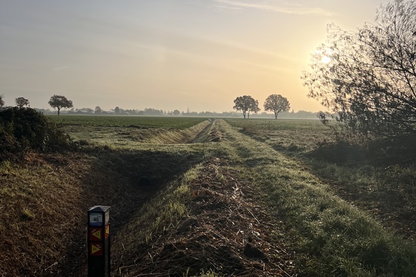 Een wandelpad door een open landschap met groene velden en een opkomende zon, met een routepaaltje op de voorgrond, onderdeel van de Hiking Trail Limburg.