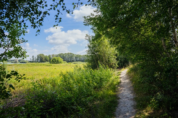 Wanderweg im Naturschutzgebiet Sarsven und Banen im Schatten des angrenzenden Waldes und inmitten des schönen Grüns der Natur