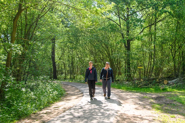 Zwei Personen gehen an einem sonnigen Tag einen gewundenen Pfad durch einen grünen Wald entlang.
