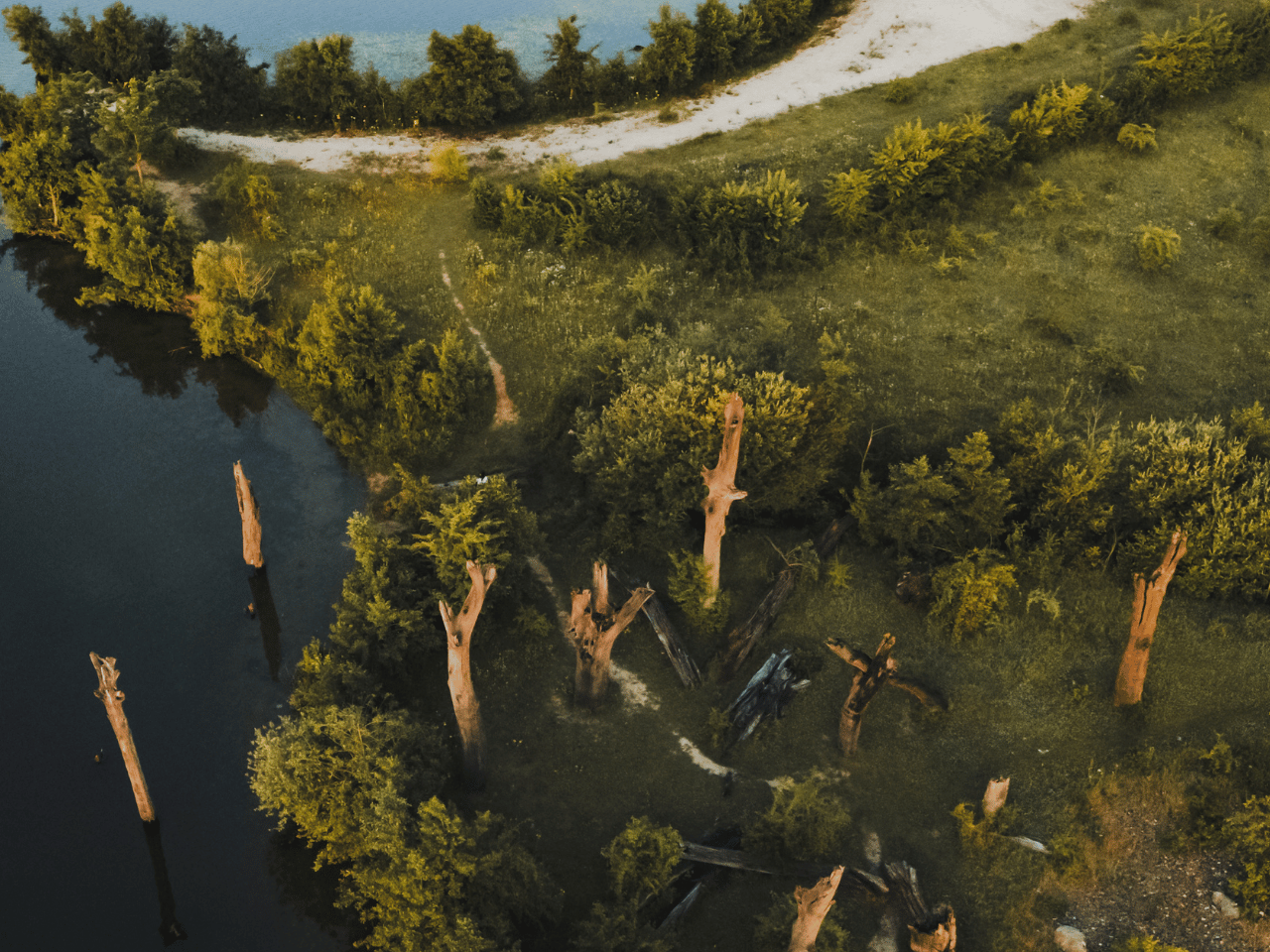 Bomen monument Molenplas Stevensweert 