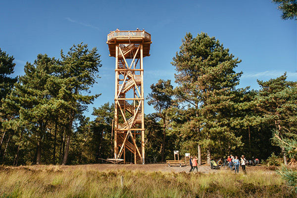 Limburgse Peel Campagne