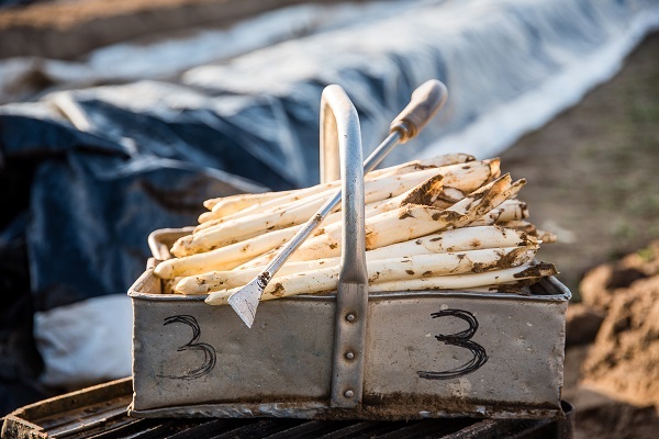 Crate of asparagus