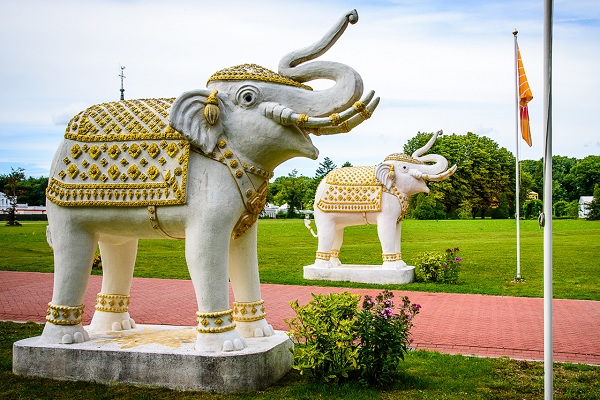 Twee standbeelden van olifanten verwelkomen de bezoekers van de MERU in Vlodrop
