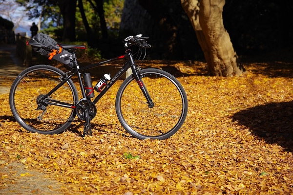 Fahrrad vor einem Baum im Herbst
