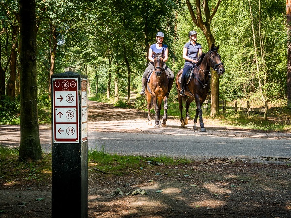 Two riders riding in the forest