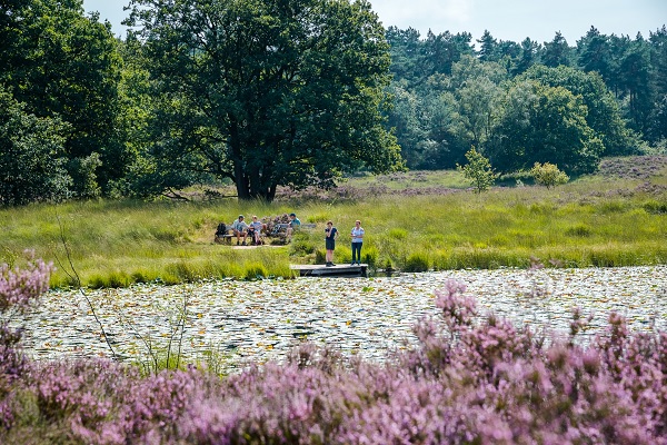 groepjes wandelaars rust uit bij een ven op De Meinweg