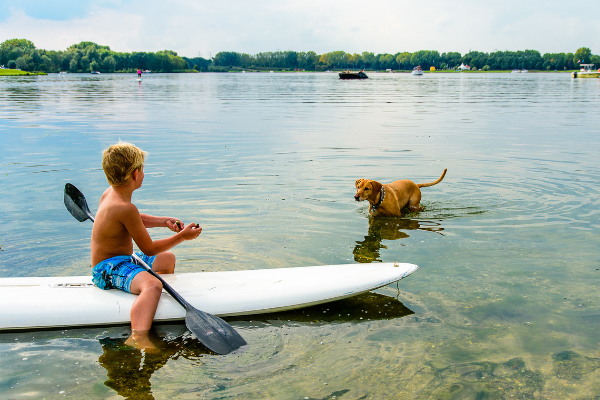 A kid plays with his dog in the water. The boy is sitting on a sup board