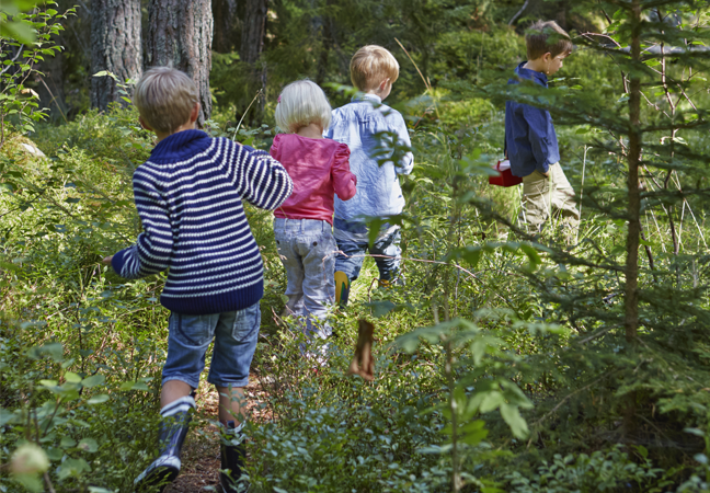Kinderwandeling in het bos in Limburg