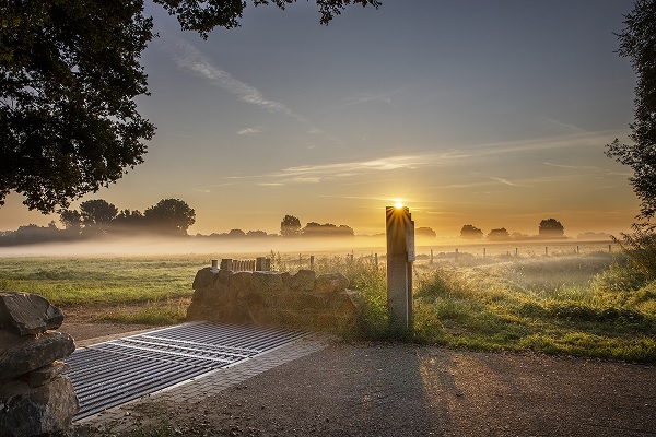 Morning mist at a spring grid in Maaspark Ooijen-Wanssum