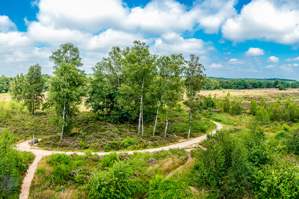 Natuur Meinweg