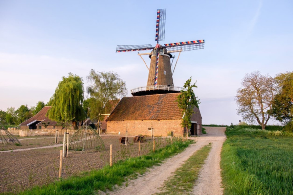 Wind- oder Wassermühle 
