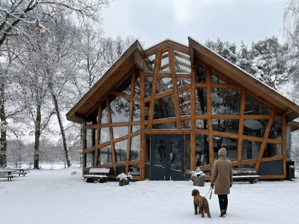 Die Stille des Waldes