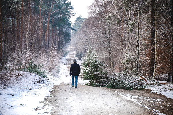 Man wandelt door natuurgebied Maas-Swalm-Nette in de winter