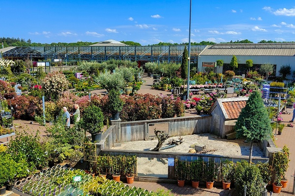 Planten en bloemen staan buiten bij Tuincentrum Daniëls in Vlodrop