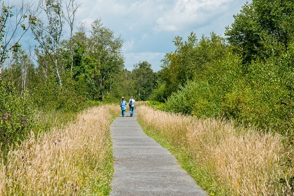 Hiking trail with hikers in The Groote Peel National Park