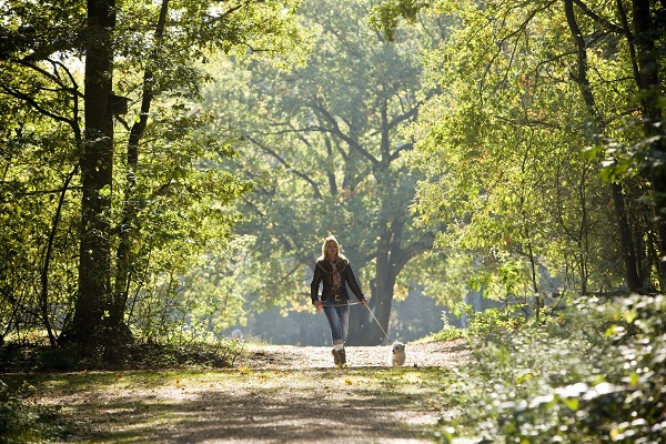Vrouw wandelt met hondje door de natuur in Weert