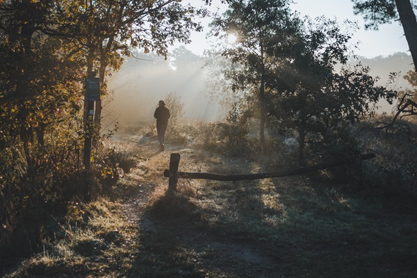 Hiker in the Weerterbos during one of the winter walks, with mist and sunlight filtering through the trees.