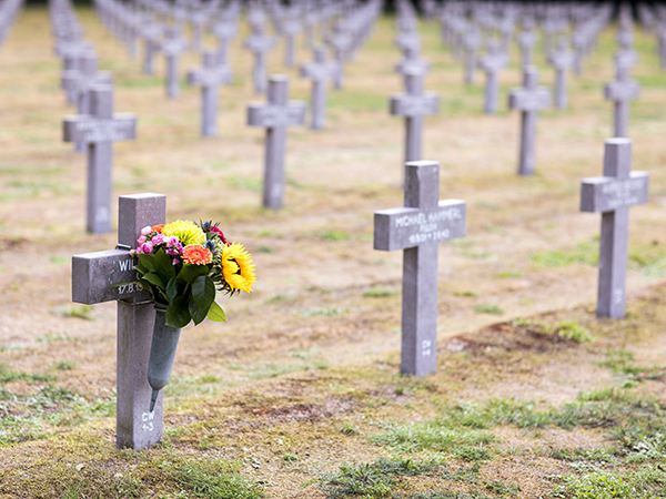 kruizen op oorlogsbegraafplaats ysselsteyn. 