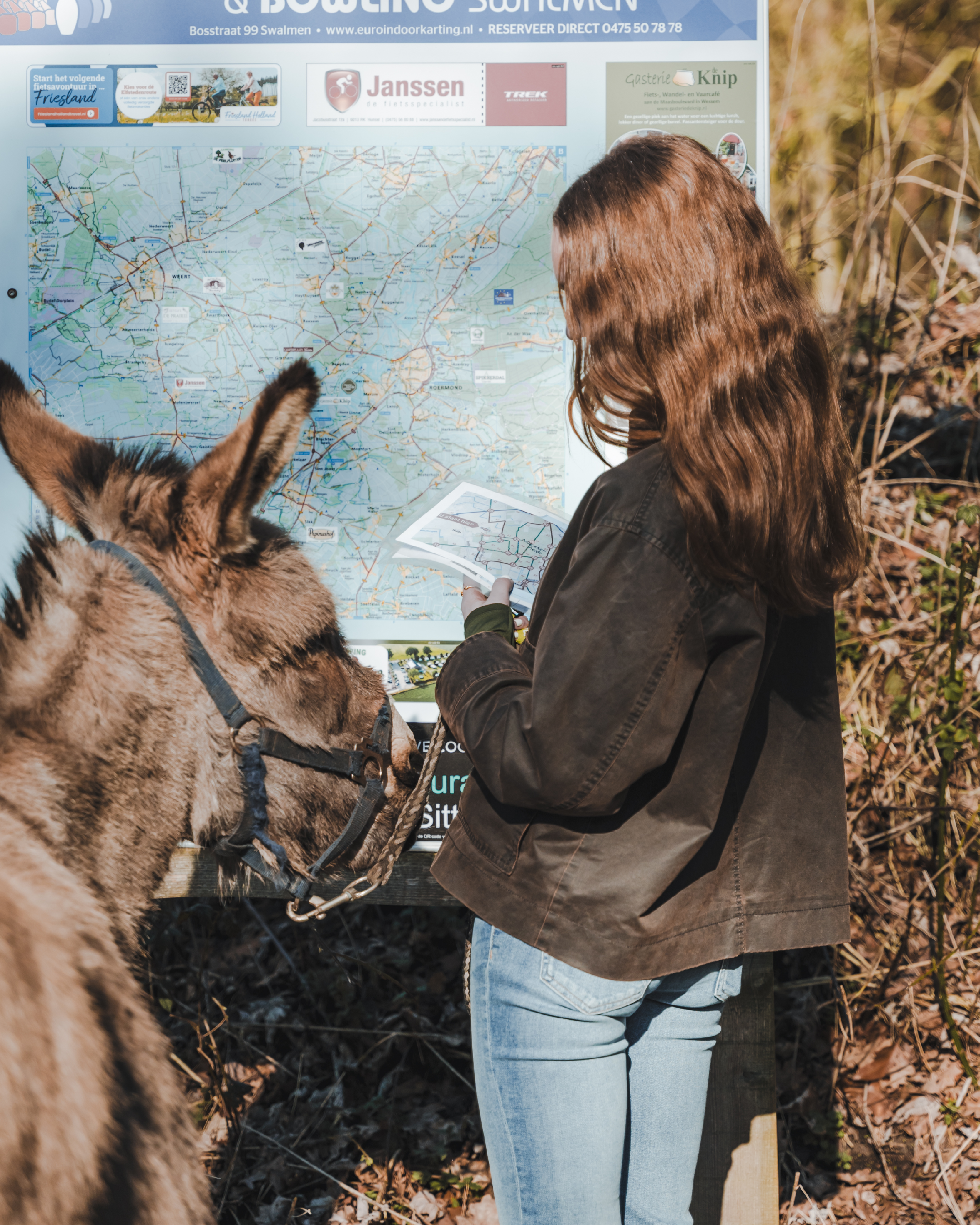 donkey and girl looking at a walking route sign