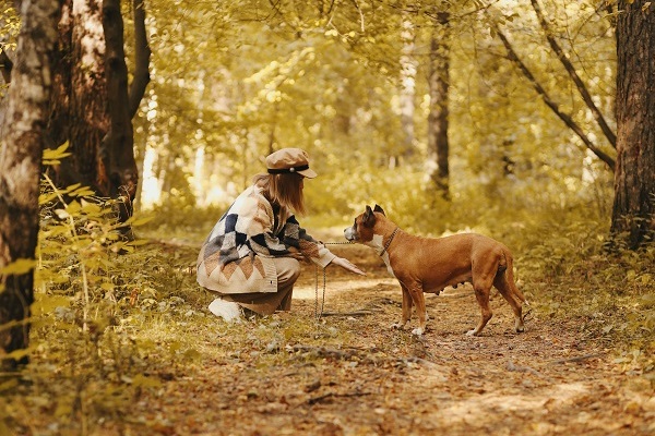 A girl walks with her dog in the forrest