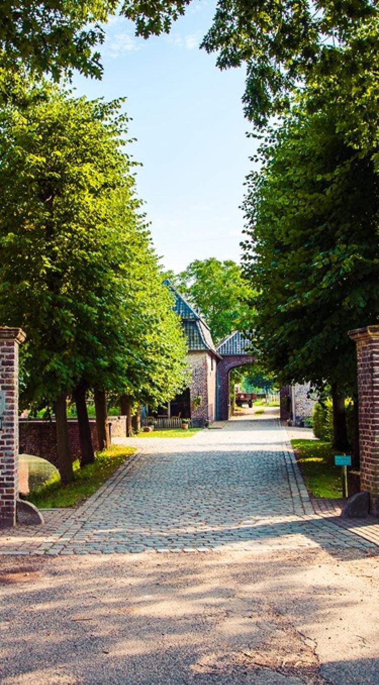 Klinkerpad met bomenrij en toegangspoort naar een historische hoeve of kasteel in Limburg, op een zonnige dag.