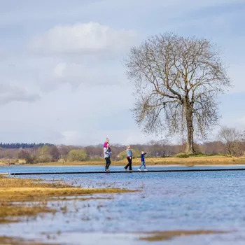 Gezin wandelt over de Maasvlakte in de Limburgse Peel