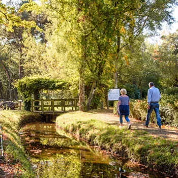 Wandelen in Grenspark Kempen-Broek