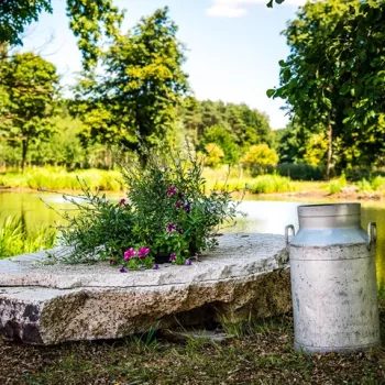 Melkkan bij de Gitstappermolen