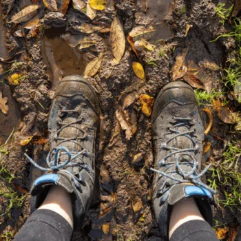 Wandelschoenen in Venray