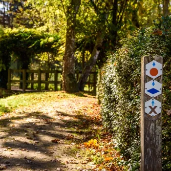 Wandelpad met routepaaltje en knooppuntmarkeringen langs een groene haag in natuurgebied KempenBroek.