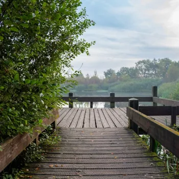 Houten knuppelbrug met uitzicht over een rustige waterplas in Nationaal Park De Groote Peel, omringd door groen en ochtendmist.