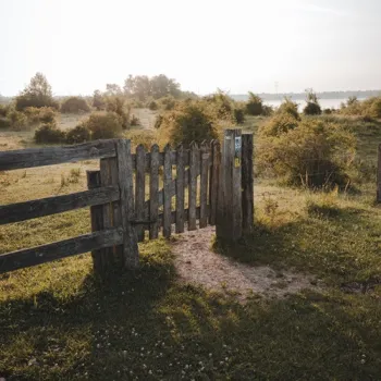 Houten toegangspoort naar een wandelpad door een groen natuurgebied bij de Maasplassen.