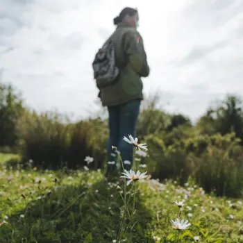 Wandelaar tussen bloemen in een zonnig groen landschap.
