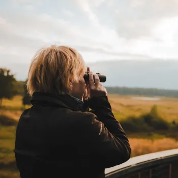 Bezoeker kijkt met een verrekijker uit over het Weerterbos op zoek naar burlende edelherten.