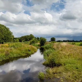 Zicht op de Tungelroyse Beek met gras, bloemen, een houten bankje en een dreigende lucht boven het landschap.