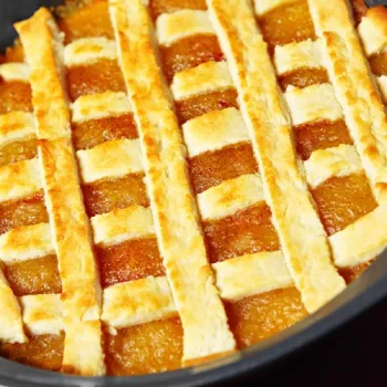 Een zelfgemaakte abrikozen linzenvlaai