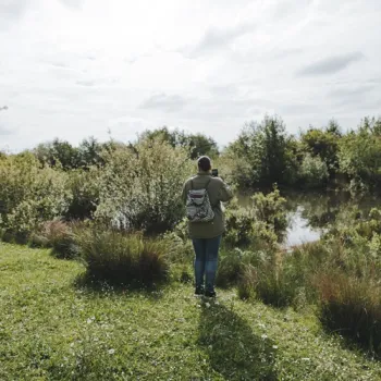 Wandelaar met rugzak kijkt uit over een waterrijk natuurlandschap met struiken en hoge grassen in KempenBroek.